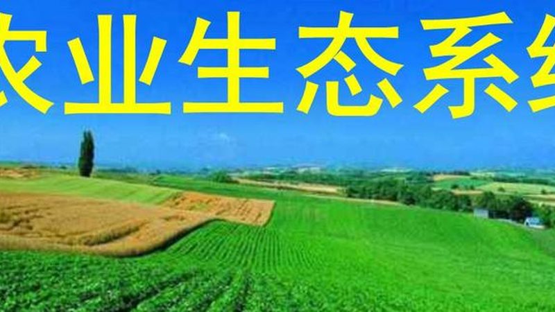 大豆种子选不对，产量差距从播种就注定