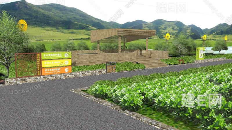 无土栽培水果设备：揭秘十大品牌背后的技术秘密