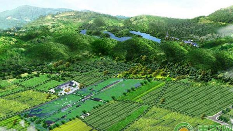 农民专业合作社与家庭农场：两种农业经营模式的差异解析
