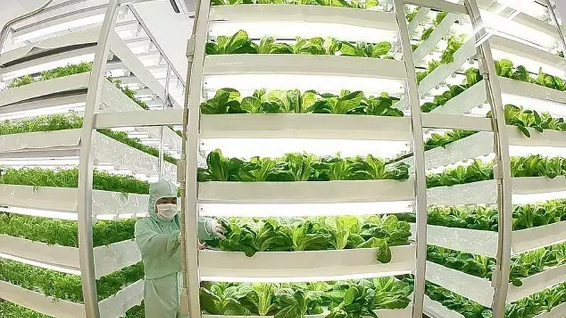 有机肥生产设备：规格型号背后的技术奥秘
