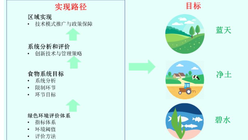 种粮大户补贴政策：了解条件，把握机遇**