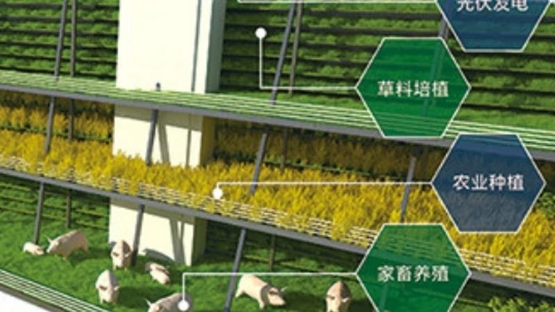 有机认证与绿色食品认证：申请流程与关键要点