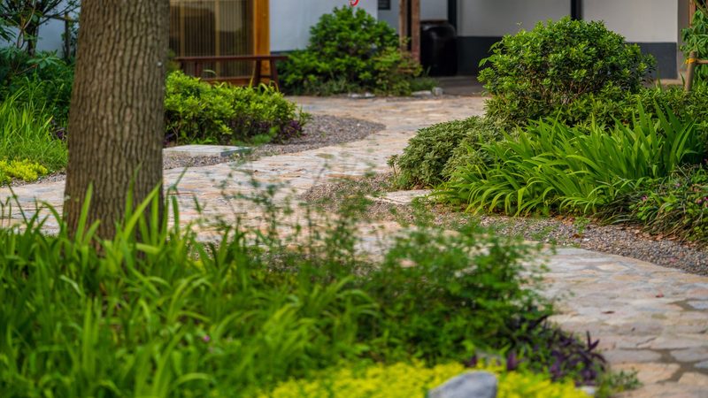 家庭农场与合作社：规模背后的经营逻辑