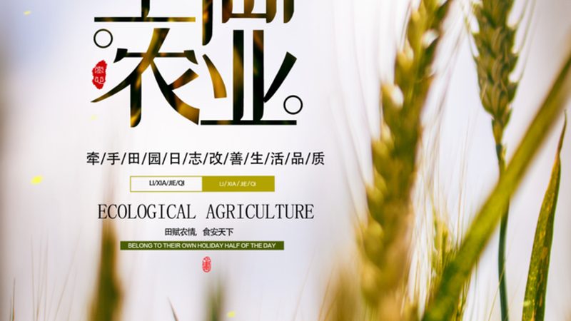 农产品批发电商平台定制开发的必要性及要点