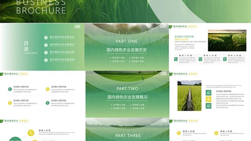 阳台蔬菜种植周期受到多种因素的影响，主要包括以下几方面：
